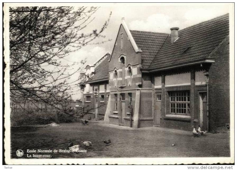 Braine-le-Comte - Ecole Normale - La Basse-cour -1943 - Braine-le-Comte