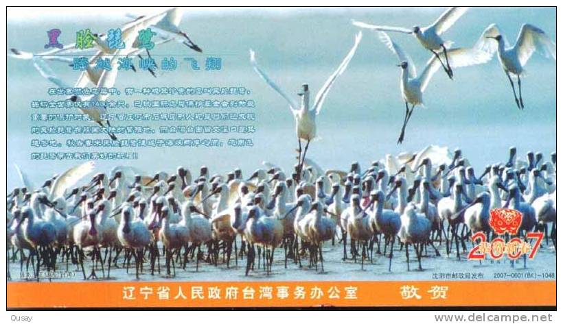 Bird Long-legged Bird  , Pre-stamped Card , Postal Stationery - Cicogne & Ciconiformi
