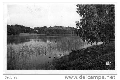 NANTIAT       ENVIRONS   ETANG DE TRICHERIE - Nantiat