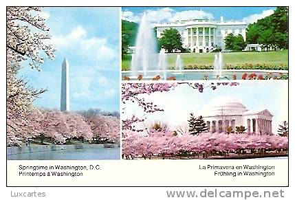 SPRINGTIME IN WASHINGTON D.C. - Washington DC