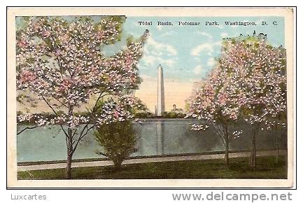 TIDAL BASIN. POTOMAC PARK. WASHINGTON D.C. - Washington DC