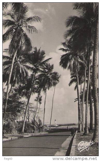 CONAKRY  -  (GUINEE FRANCAISE)  -  La Corniche  Et Le Phare De Boulbinet - Mali