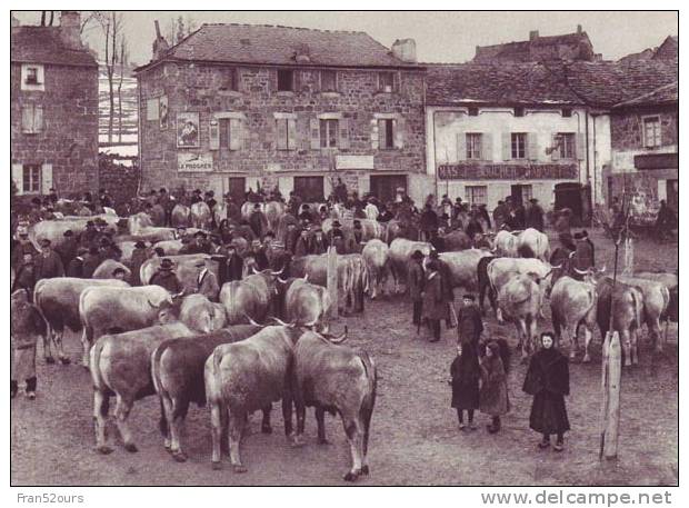 Foire Aux Boeufs Gras 1912 En Auvergne - Kirmes