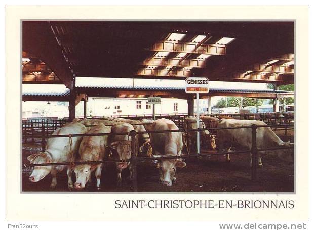 Saint-Christophe En Brionnais Le Foirail - Foires