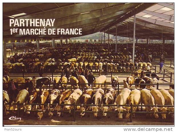 Parthenay (Deux-Sèvres) Le Champ De Foire - Fiere