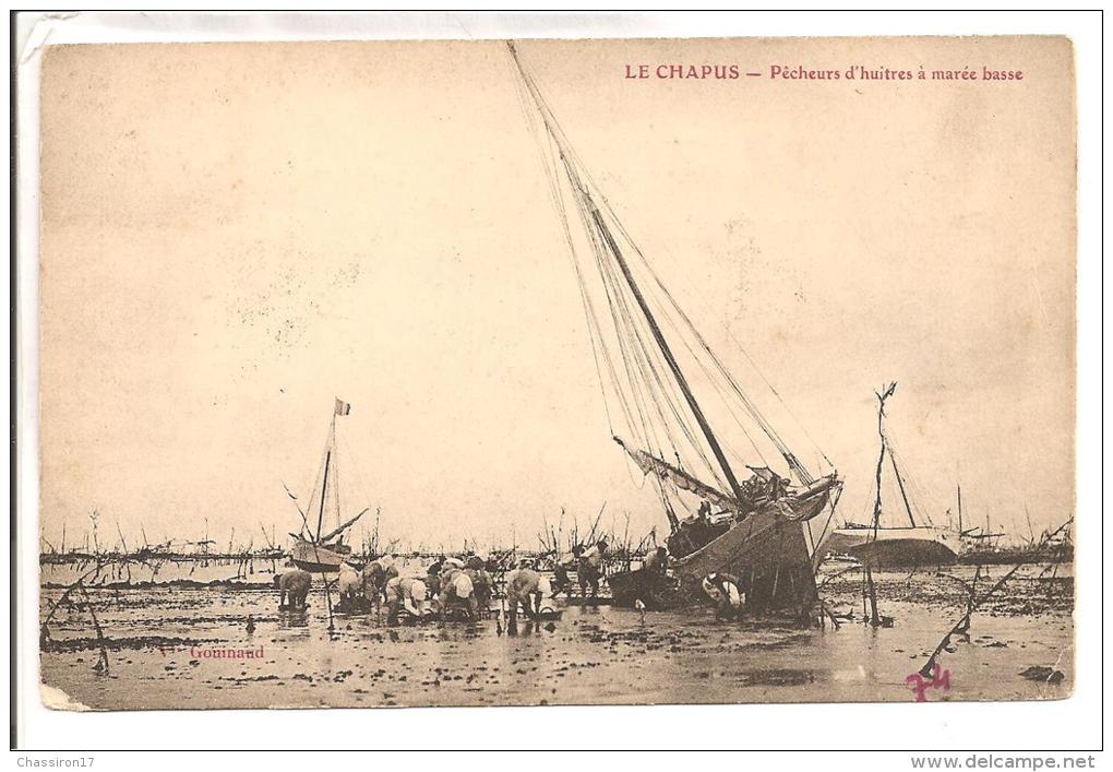 17 - LE CHAPUS - Lot De 3 Cartes Ostréiculture -  Voiliers En D'erre  -  Pêcheurs D'huîtres à Marée Basse - Le Lavage - Marennes