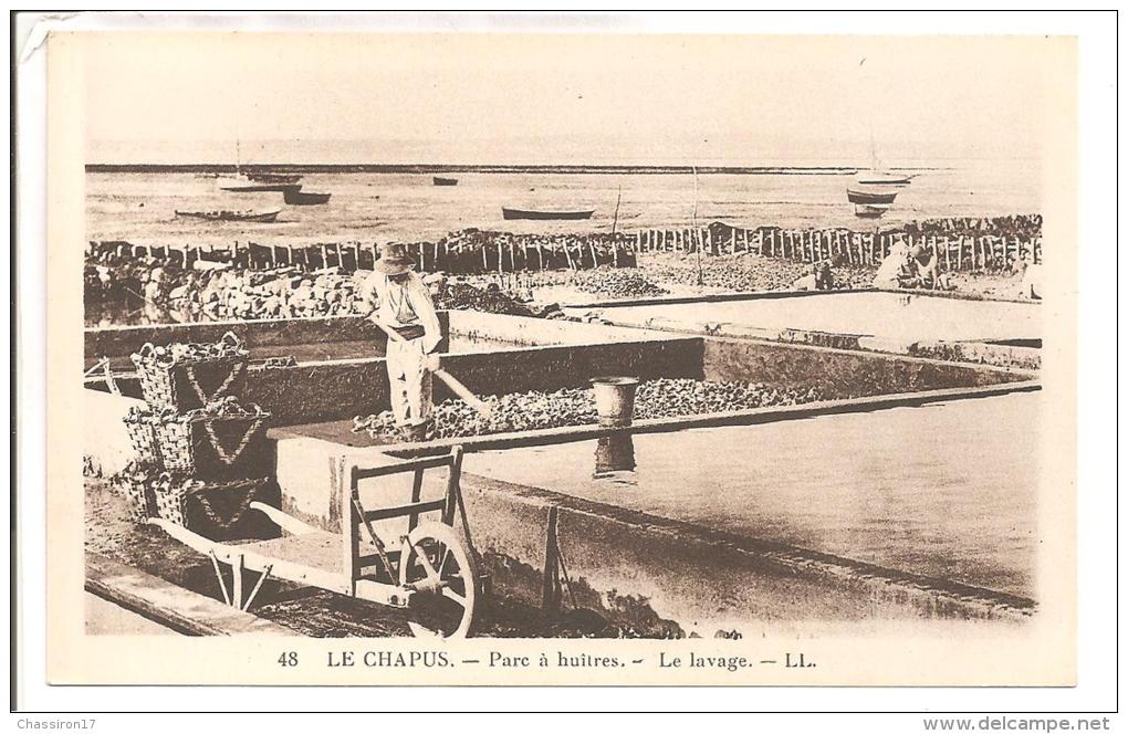 17 - LE CHAPUS - Lot De 3 Cartes Ostréiculture -  Voiliers En D'erre  -  Pêcheurs D'huîtres à Marée Basse - Le Lavage - Marennes