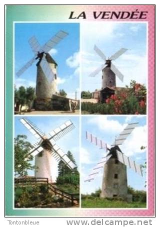 Vendee Pittoresque - Moulin - Cachet Avec Flamme Soullans Musee CH.Milcendeau - 1996 - Soullans