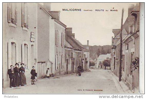 MALICORNE  ROUTE DU MANS - Malicorne Sur Sarthe