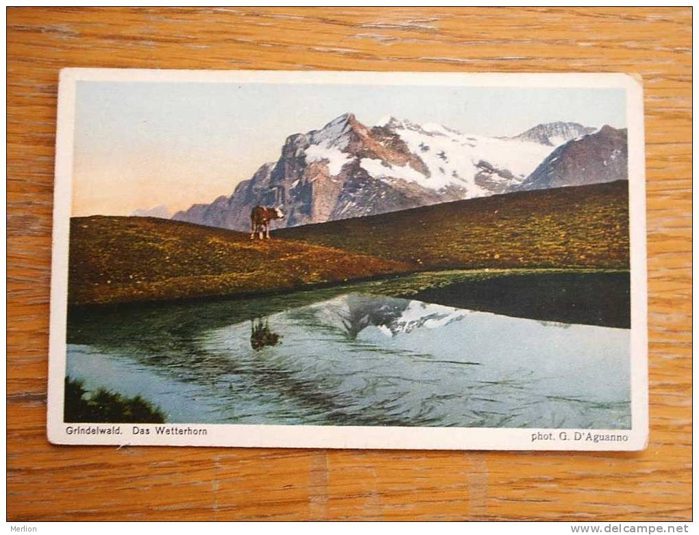 Grindelwald Wetterhorn  Photo G.D'Auganno  BE-CH  1920´s  F  D16165 - Grindelwald