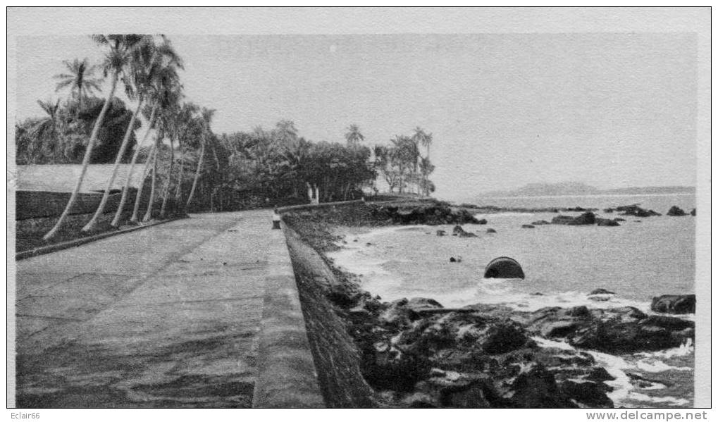 GUINEE - CONAKRY - La Corniche Et L' Île De Kassa - Guinée Française