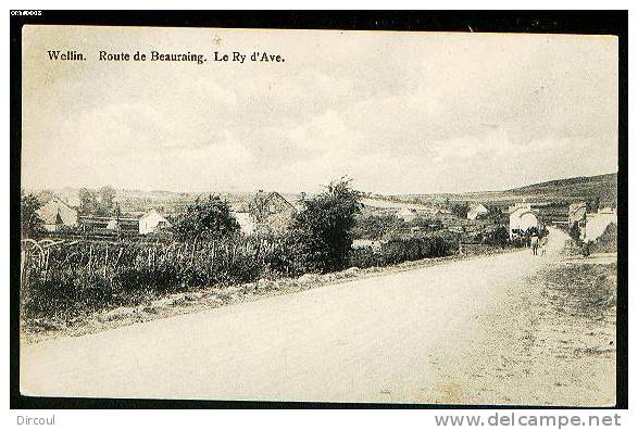 7348  -  Wellin  Route De Beauraing  Le Ry D'Ave - Wellin