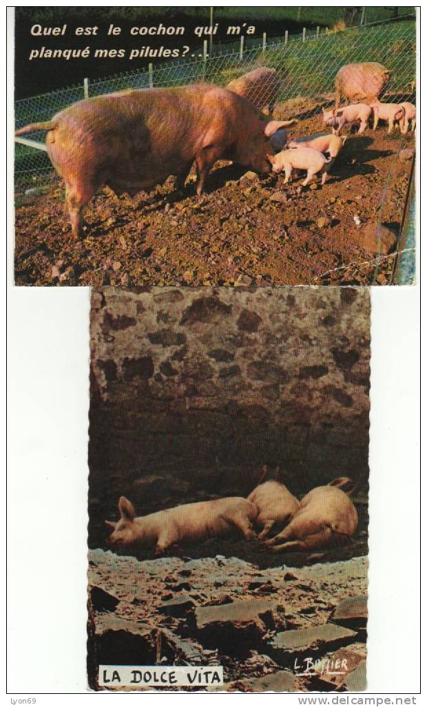 LOT DE 2  CPM  COCHONS - Pigs