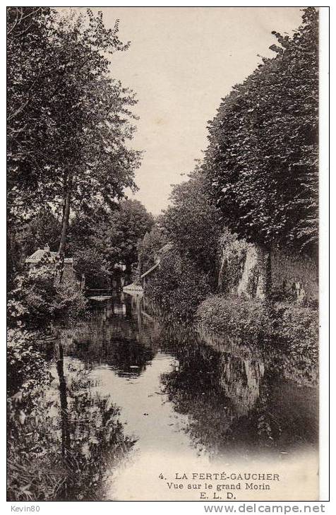 77 LA FERTE GAUCHER Vue Sur Le Grand Morin - La Ferte Gaucher