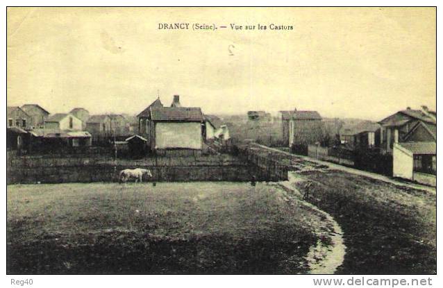 D93 - DRANCY  -  Vue Sur Les CASTORS - Drancy