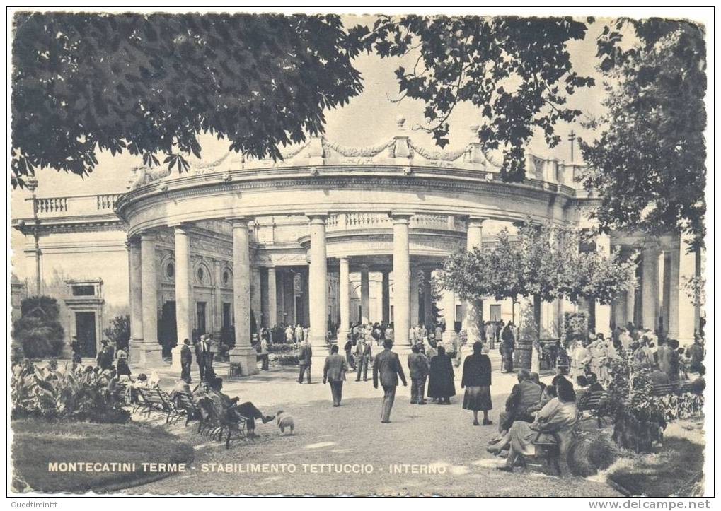 Italia.1953.Montecatini.Terme.Belle Anim. - Autres & Non Classés