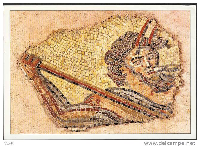 Nymphogénès. Détail D'une Mosaïque Découverte En 1883 à Saint-Rustice (Haute-Garonne) : Musée Saint-Raymond (circulée) - Antiquité