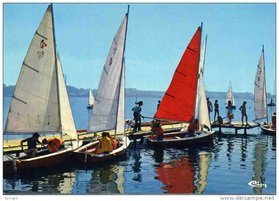 B - 34 - BALARUC Les BAINS - L'école De Voile - Autres & Non Classés