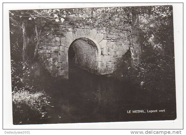 Fev8 18944   Le Mesnil  Le Pont Vert - Viroinval
