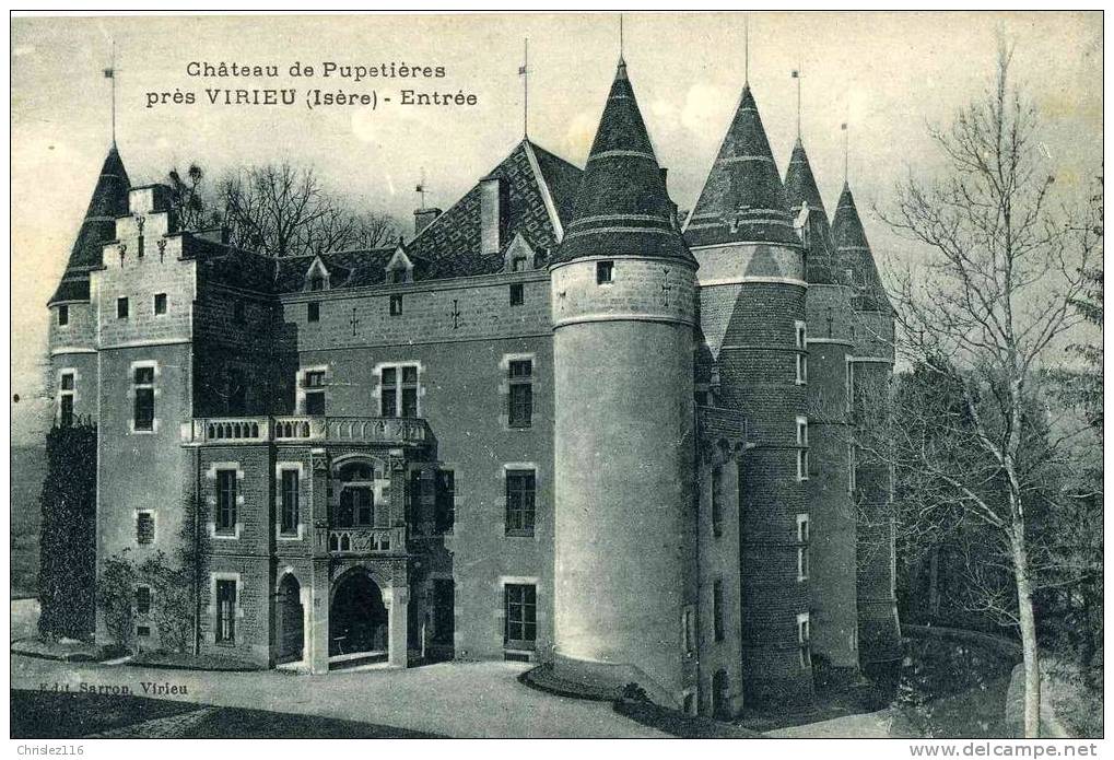 38 Château De Pupetières Près VIRIEU  Beau Plan - Virieu
