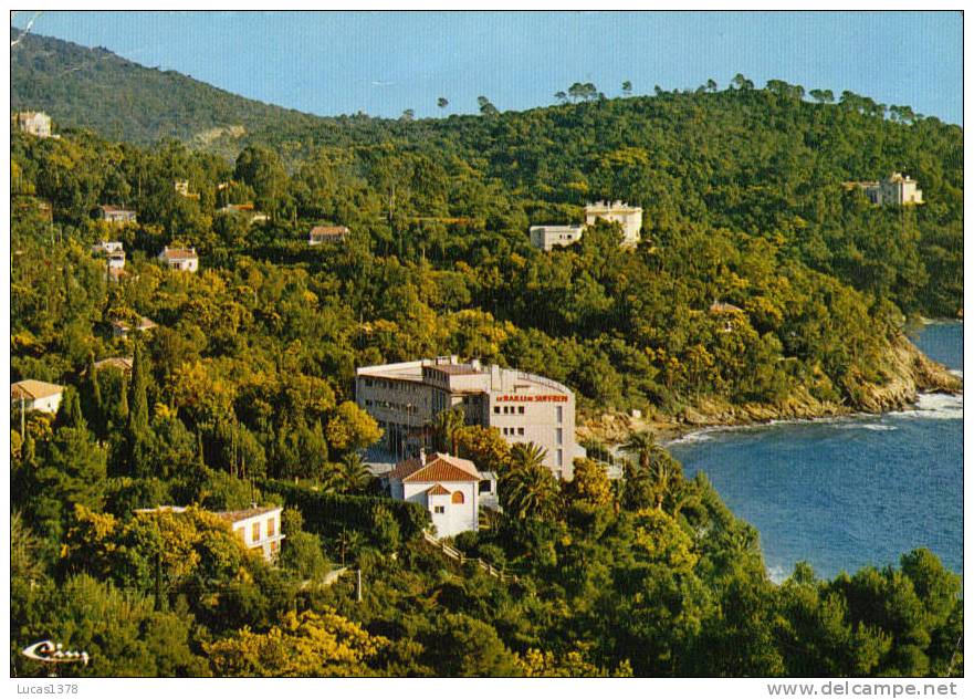 83 / LE RAYOL / VUE GENERALE SUR LE BAILLI DE SUFFREN - Rayol-Canadel-sur-Mer