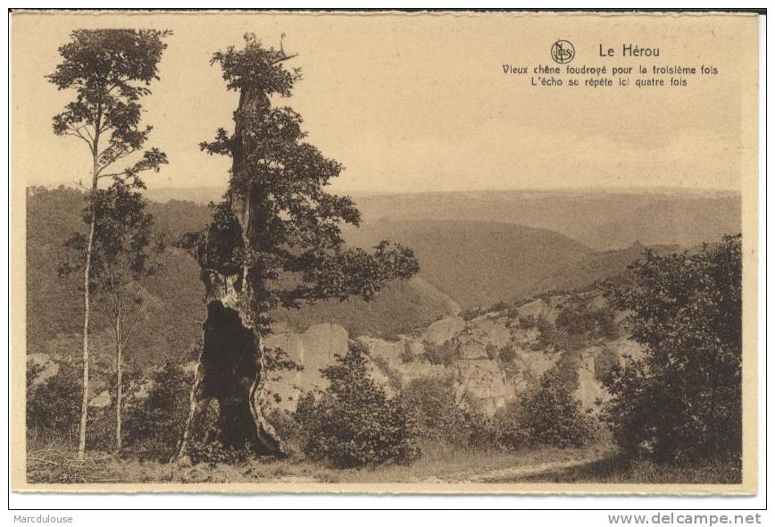 Le Hérou (Houffalize). Vieux Chêne Foudroyé Pour La Troisième Fois. L'écho Se Répète Ici Quatre Fois. Oude Eikenboom. - Houffalize