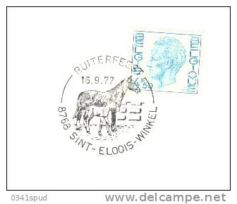 1977 Belgique Sint Eloois Winkel  Ferme Fattoria Cheval Cavallo  Horse - Farm