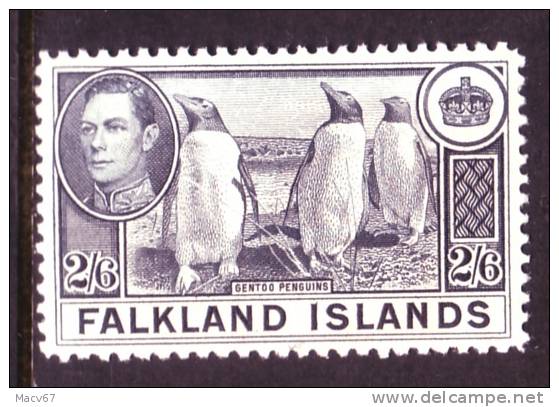 Falkland Islands 93  *  GENTOO PENGUINS - Falkland Islands