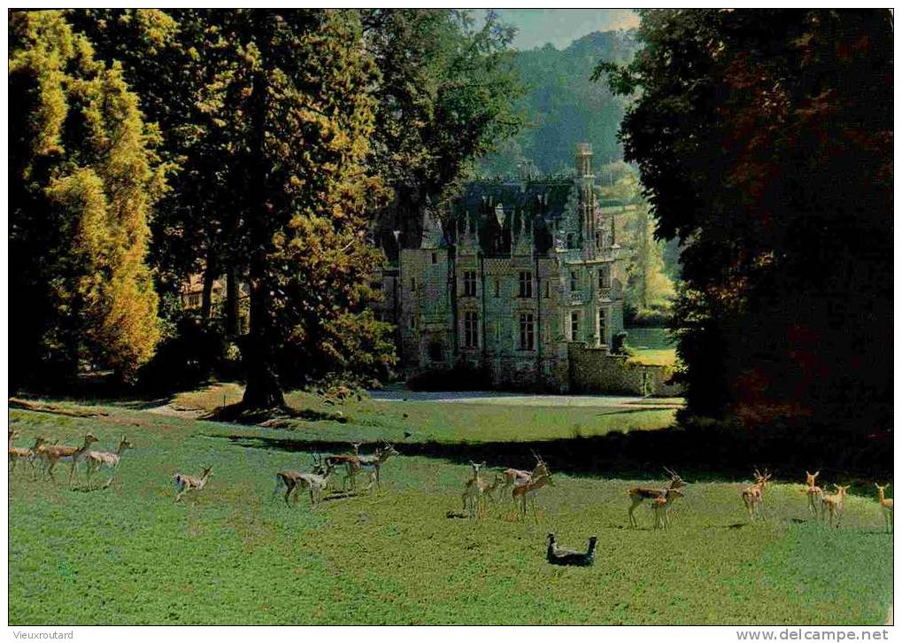 CPSM. DATEE 1971.PARC ZOOLOGIQUE DE CLERES. CHATEAU ET LES ANTILOPES CERVICAPRES. - Clères