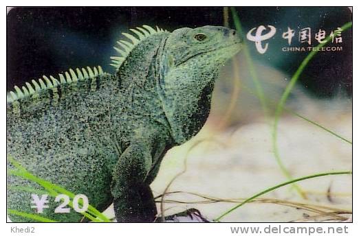 Télécarte Préhistoire Animal Reptile - IGUANE - IGUANA Phonecard - 08 - Cocodrilos Y Aligatores