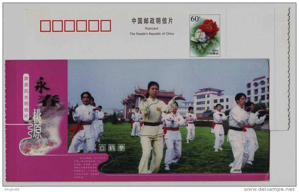 Chinese Boxing Of White Crane,China 2002 Yongchun Landscape Advertising Pre-stamped Card - Unclassified