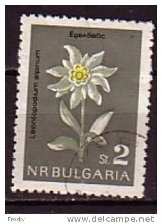 L0825 - BULGARIE BULGARIA Yv N°1209 - Used Stamps