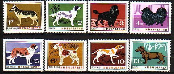 BULGARIA / BULGARIE / BULGARIEN - 1964  - Dogs - 8v ** - Nuevos