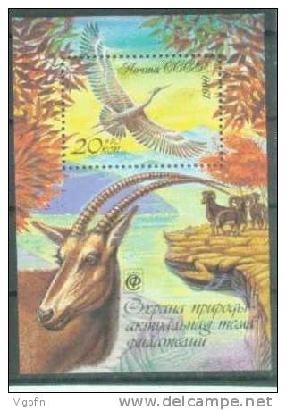 USSR 1990-6125 FAUNA, S S S R, S/S, MNH - Wild