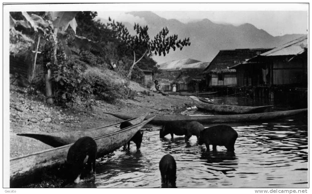 Langs Het Santoni Meer - Papua-Neuguinea