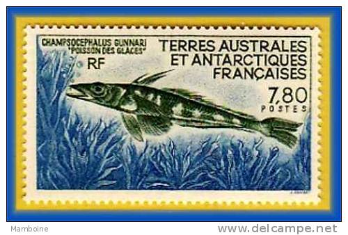 TAAF Poisson N° 161  Neuf X X (gomme Sans Trace) - Unused Stamps