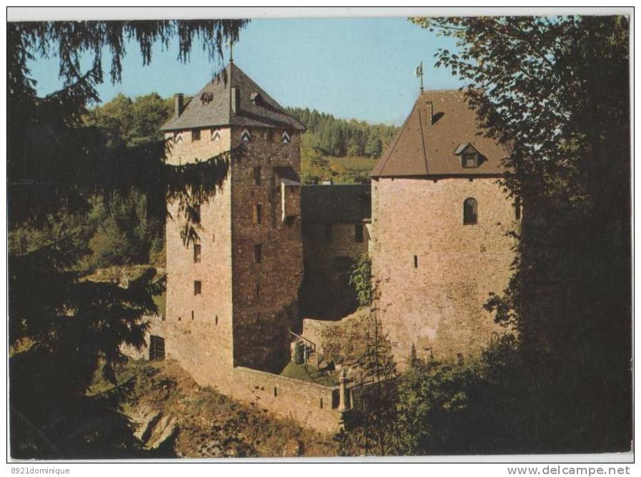 Reinhardstein - Le Burg Metternich - Vue Du Donjon - Weismes
