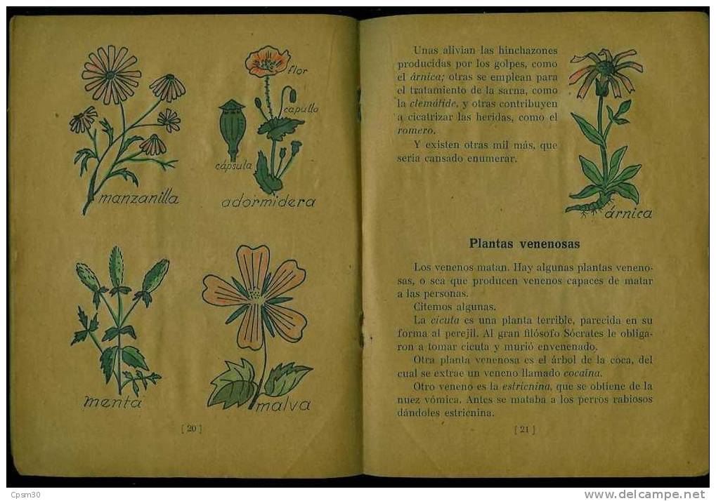 Livre Que Nos Proporcionan Los Vegetales 40 Pages Année 1946 - Pratique