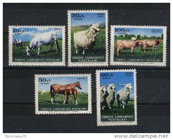 TURQUIE - TURKEY 1964 5 Valeurs Neuves (MNH**) N° YT 1699/1703 - Farm