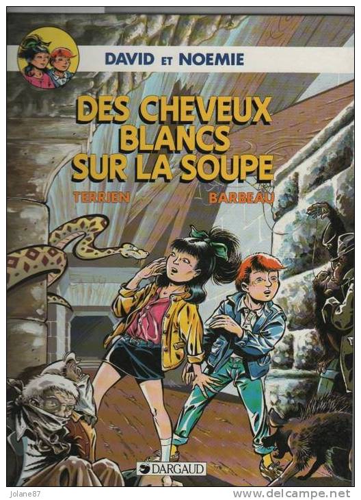 BD DAVID ET NOEMIE "DES CHEVEUX BLANCS SUR LA SOUPE", TERRIEN BARBEAU, DARGAUD - Altri & Non Classificati