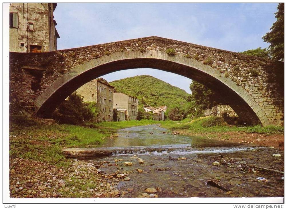 LODEVE - Le Pont De MONTIFORT Sur La SOULONDRES - Lodeve