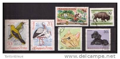 Lot De 6 Timbres Sur Le Theme Des Animaux - Errors, Freaks & Oddities (EFO)