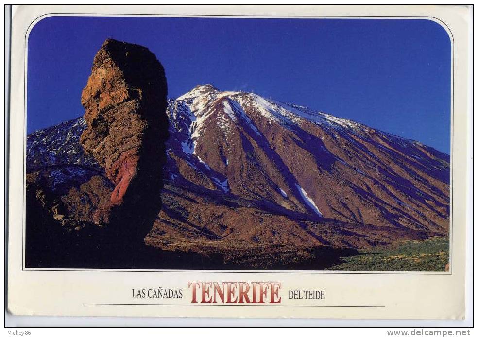 Espagne--TENERIFE---Las Canadas Del Tiede ,cm - Tenerife