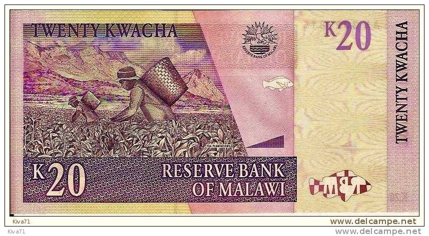 **2004** 20 Kwacha "MALAWI"  1er Juin 2004  UNC  Ble 46 - Malawi