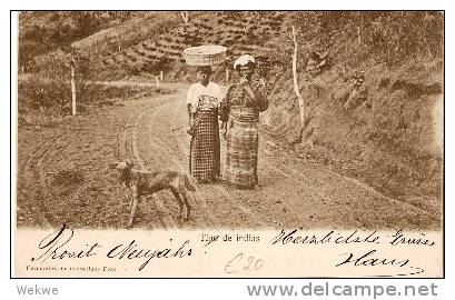 GU066 / GUATEMALA -  Indio-Frauen 1905. Schweiz Via New Orleans - Guatemala