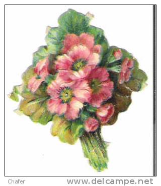 Découpis - Bouquets D´Anémone -  8x6 - Fiori