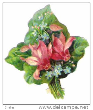 Découpis - Bouquets De Fleurs - 8x7 - Bloemen