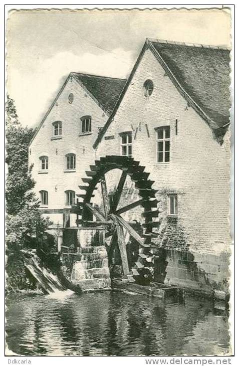 Maaseik - Bosmolen  ( De Watermolen) - Maaseik