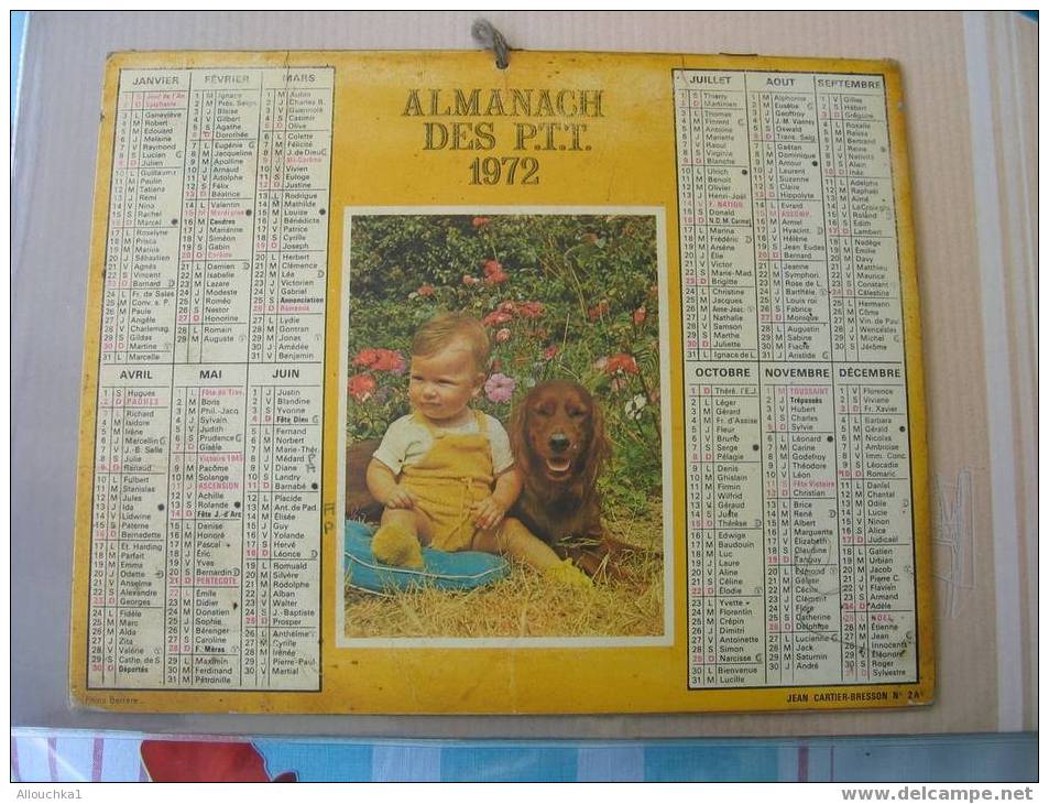 ALMANACH CALENDRIER DES PTT 1972   :  BEBE ET EPAGNEUL + MAGNIFIQUE CHAT AU VERSO  ( DOUBLES  PHOTOS) - Big : 1971-80