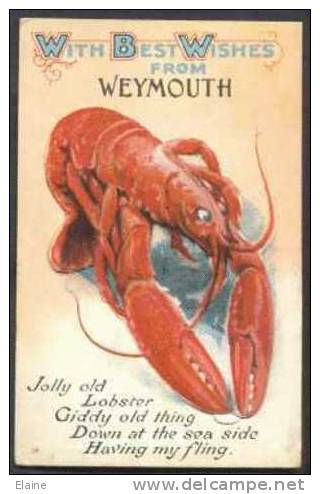 Big Lobster - Novelty Card With Views Of Weymouth U.K. - Fish & Shellfish